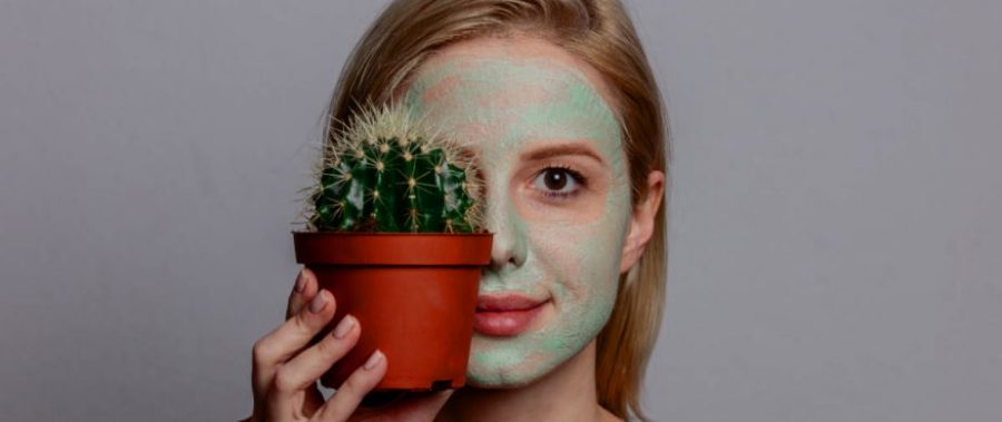 Discover the Amazing Skin-Care Benefits of Cactus
